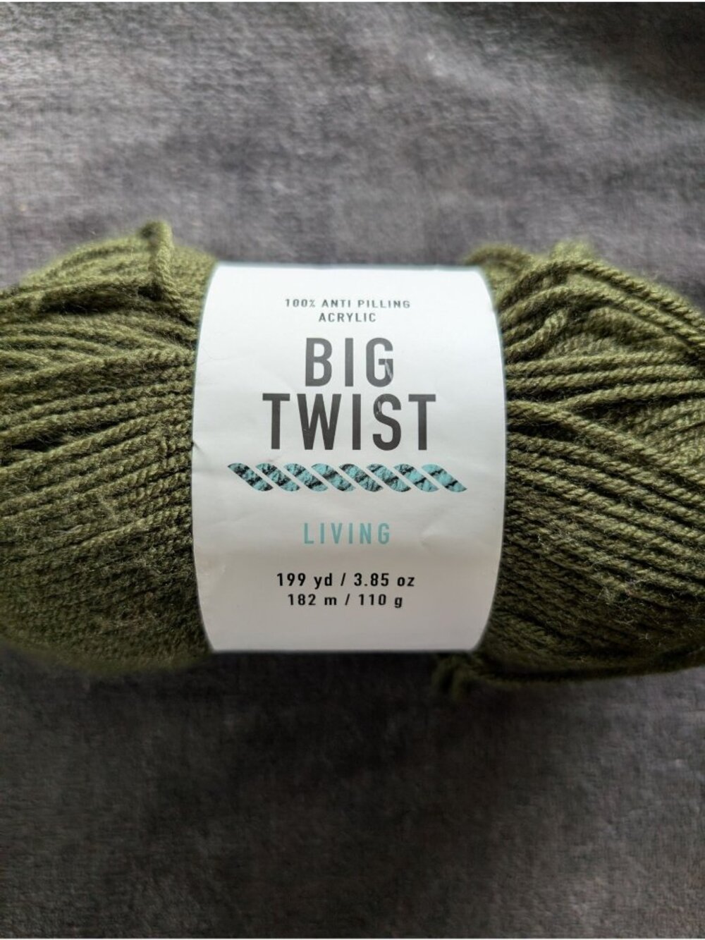 Big Twist Living Anti-Pilling Acrylic Yarn - Pine Green - Picture 2 of 5